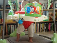 フィッシャープライス　レインフォレストジャンパルー