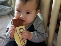 スマイルラボ チョコはがため　コンビ　combi