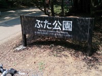 駒沢公園　ぶた公園