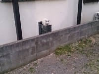 中分け　猫　用賀